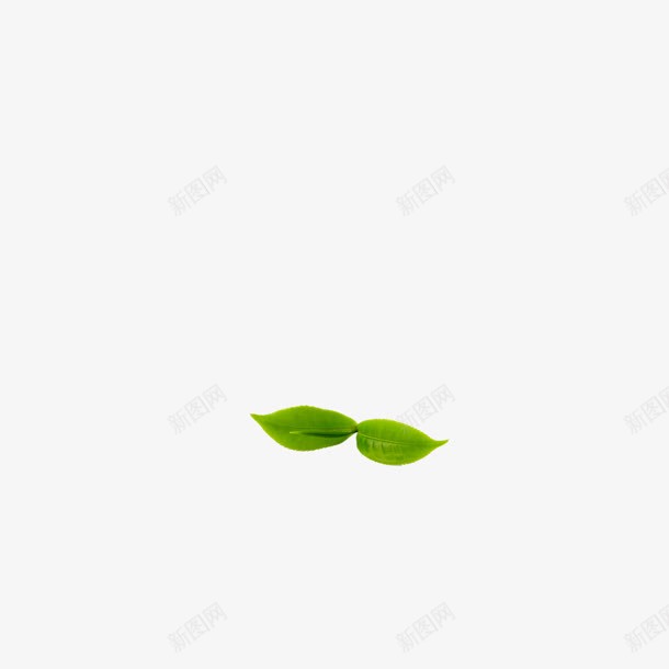 绿色树叶片png免抠素材_新图网 https://ixintu.com 图片 树叶 素材 绿色