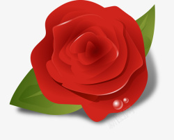 玫瑰花3D矢量图素材