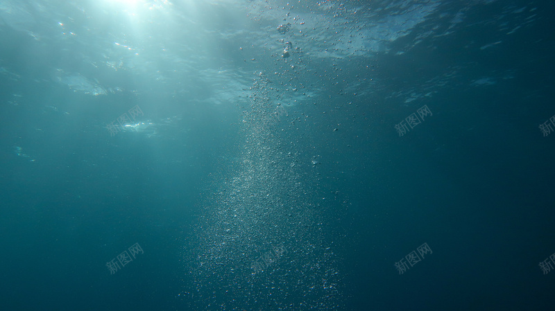 水海洋背景海深海海底背景图片免费下载 素材0zpppkavp 新图网