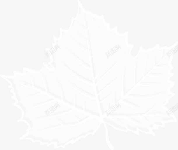 创意半透明叶子png免抠素材_新图网 https://ixintu.com 半透明植物图 半透明植物矢量图 嫩叶 花