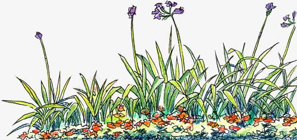 紫色草地植物春天png免抠素材_新图网 https://ixintu.com 春天 植物 紫色 草地