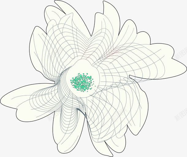 白色线条创意花朵png免抠素材_新图网 https://ixintu.com 创意 白色 线条 花朵
