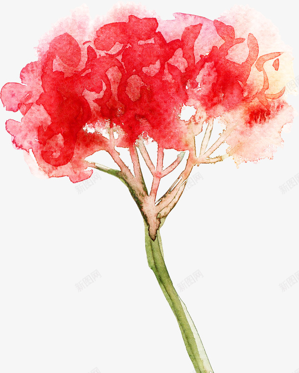 水彩抽象花朵png免抠素材_新图网 https://ixintu.com 手绘复古抽象花朵