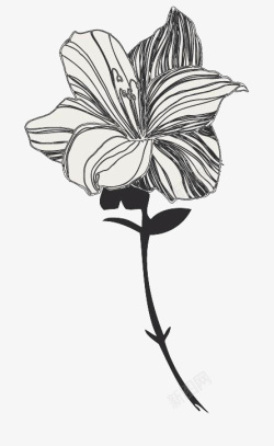 手绘黑白花朵矢量图素材