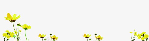 黄色卡通郊外花朵植物png免抠素材_新图网 https://ixintu.com 卡通 植物 花朵 郊外 黄色