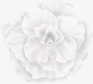 白色梦幻花朵装饰png免抠素材_新图网 https://ixintu.com 梦幻 白色 花朵 装饰
