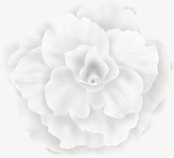 白色梦幻花朵装饰素材