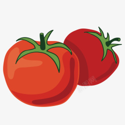 红色扁平西红柿矢量图素材