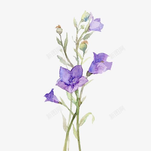 手绘蓝色花朵植物png免抠素材_新图网 https://ixintu.com 手绘 植物 素材 花朵 蓝色