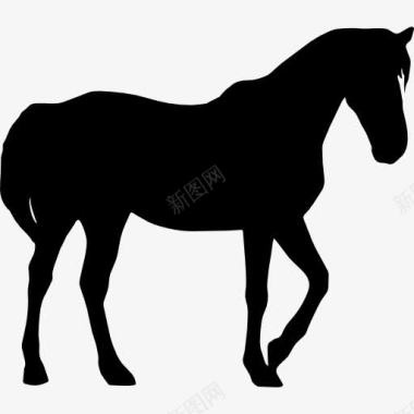 马的黑色剪影图标图标