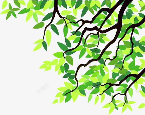 树木边框装饰png免抠素材_新图网 https://ixintu.com 树叶 树木 树枝 装饰 边框