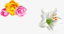 手绘白色花朵效果png免抠素材_新图网 https://ixintu.com 效果 白色 花朵