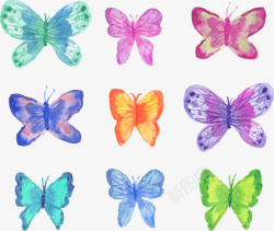 9款水彩绘蝴蝶矢量图素材
