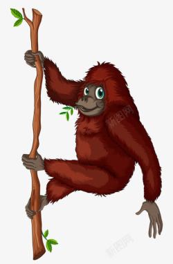 红毛的猩猩爬树的大猩猩高清图片