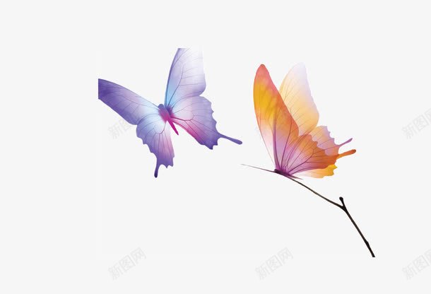 卡通手绘树枝上的蝴蝶png免抠素材_新图网 https://ixintu.com 动物 卡通手绘 树枝上的蝴蝶