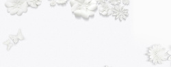白色优美花朵素材