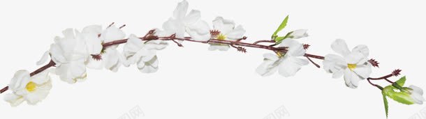 树枝白色花朵装饰png免抠素材_新图网 https://ixintu.com 树枝 白色 花朵 装饰