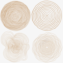 年轮花纹木纹纹理木头年轮高清图片