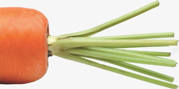 新鲜有机胡萝卜图案png免抠素材_新图网 https://ixintu.com 健康 新鲜有机胡萝卜 红胡萝卜 绿色 蔬菜胡萝卜 食品 餐饮