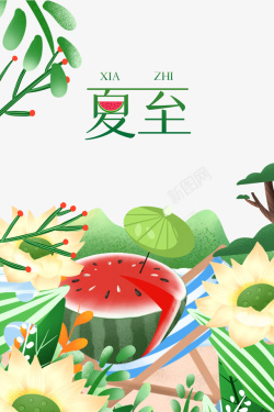 夏至手绘卡通元素植物元素素材