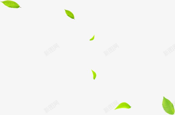 漂浮春天绿叶植物装饰png免抠素材_新图网 https://ixintu.com 春天 植物 漂浮 绿叶 装饰