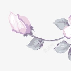 手绘花朵装饰花花唯美花瓣素材