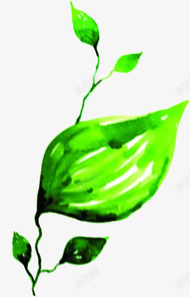 绿色水彩艺术树叶png免抠素材_新图网 https://ixintu.com 树叶 水彩 绿色 艺术 设计