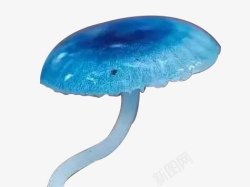 蓝瘦香菇素材