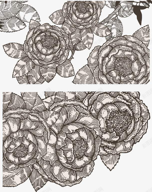 手绘线条花png免抠素材_新图网 https://ixintu.com 手绘花 植物 矢量手绘线条花 矢量素材 线条花
