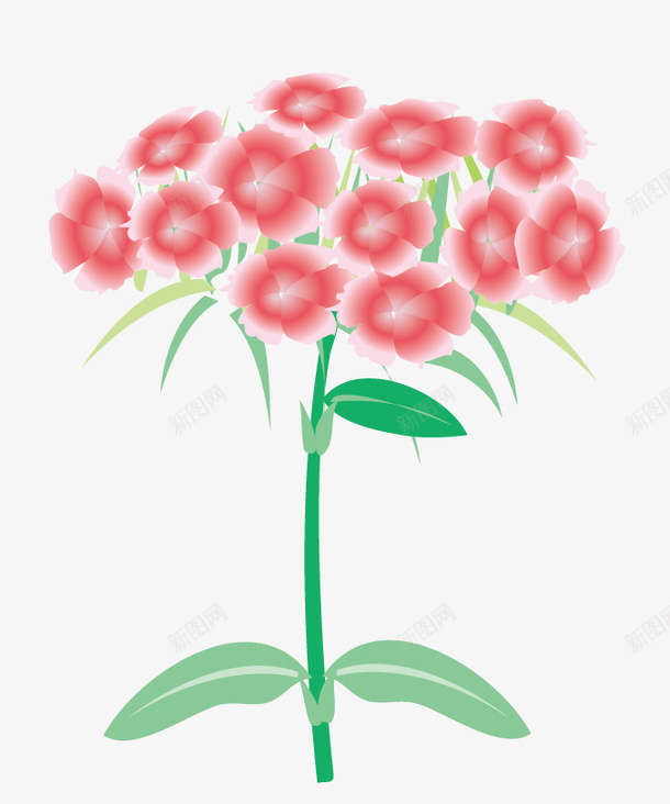 花卉花朵矢量图eps免抠素材_新图网 https://ixintu.com 植物 矢量花 红色的花 绿叶 花卉 花朵 矢量图