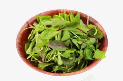 绿色新鲜蔬菜素材