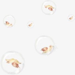 水泡花朵漂浮物高清图片