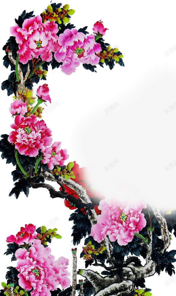 手绘粉色花朵装饰花古典png免抠素材_新图网 https://ixintu.com 古典 粉色 花朵 装饰