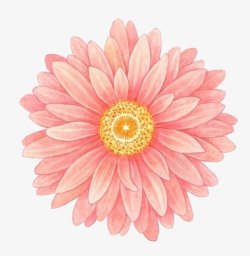 花朵黄蕊手绘粉色素材