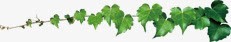 绿色春天树叶装饰节日png免抠素材_新图网 https://ixintu.com 春天 树叶 绿色 节日 装饰