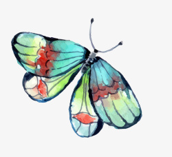 彩色手绘的蝴蝶素材