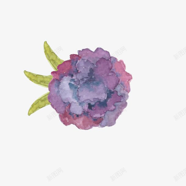 彩绘紫色花朵绿叶png免抠素材_新图网 https://ixintu.com 彩绘 紫色 绿叶 花朵