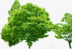 植物绿色卡通树木效果素材