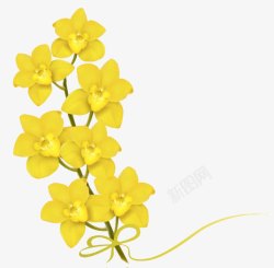 黄色蝴蝶兰花素材