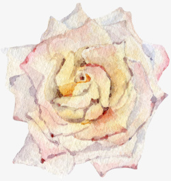 花蛋糕花插画玫瑰手绘玫瑰素材