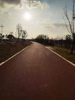 旅途的风景阳光下的旅途风景高清图片