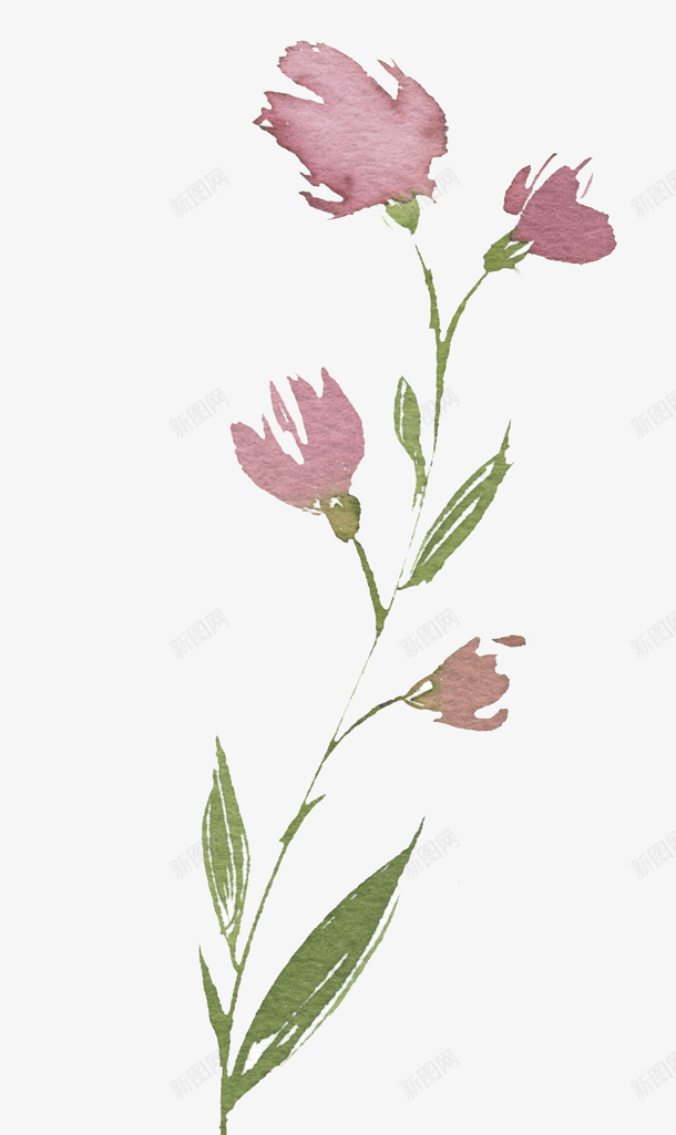 水彩创意植物图png免抠素材_新图网 https://ixintu.com 卡通手绘 枚红色 植物 水墨 水彩 绿叶 花朵 鲜花