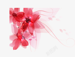 漂浮的花红色漂浮的花朵高清图片