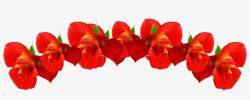 红色鲜花花朵装饰素材