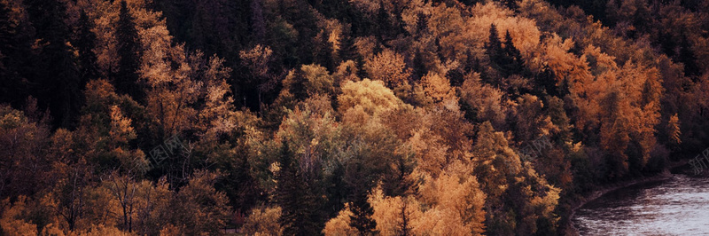 秋季落叶风景摄影23背景