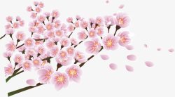粉色唯美花朵植物树枝素材