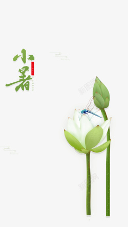 小暑二十四节气艺术字小暑莲花手绘元素高清图片