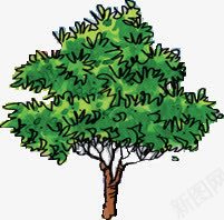 手绘清新树木植物png免抠素材_新图网 https://ixintu.com 树木 植物 清新