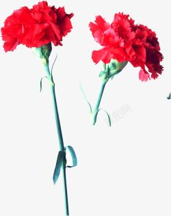 红色鲜花花朵装饰素材