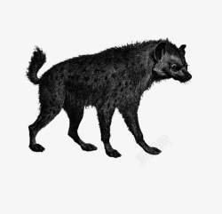 动物手绘黑白猎狗素材
